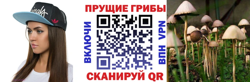 blacksprut рабочий сайт  Шумерля  Псилоцибиновые грибы прущие грибы  что такое наркотик 